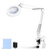 Magnifying Lamp/White